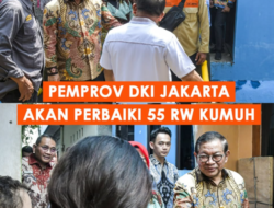 Pemprov DKI Jakarta Tata 55 RW Kumuh demi Lingkungan Permukiman yang Layak dan Sehat