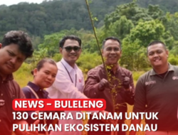 Penanaman 130 Cemara di Danau Tamblingan Diperkuat sebagai Upaya Pemulihan Ekosistem
