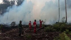 TNI Kerahkan 14.167 Personel Tangani Karhutla di Seluruh Indonesia